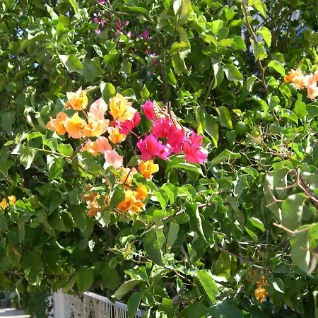 2 Space - Selfcatering Helen No 7 Apartment Xiropigado